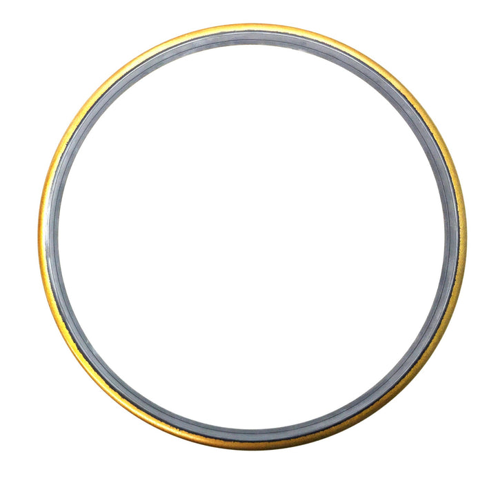 NOK Dust/Oil Seal DKH 400 430 16 22 (NBR) NOS