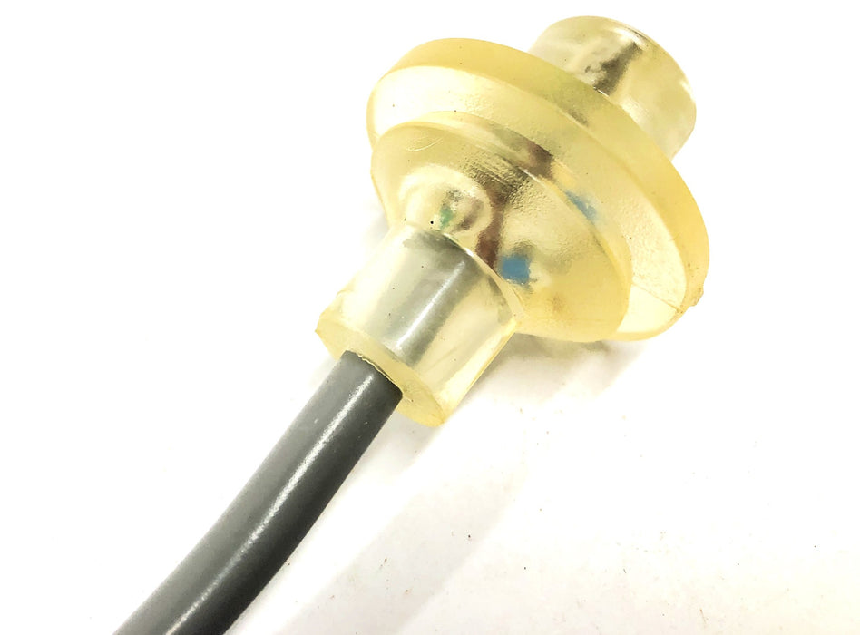 International OEM Electric Wiring Harness 1667915C91 NOS
