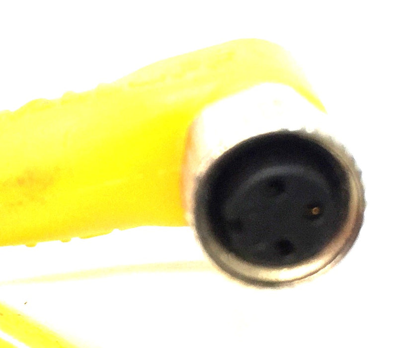 Balluff Sensor BCCM323-0000-10-001-VX43T2-050 NOS