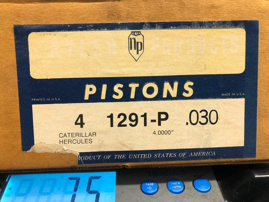 NP 4 Inch Piston Set 4 1291-P .030 NOS