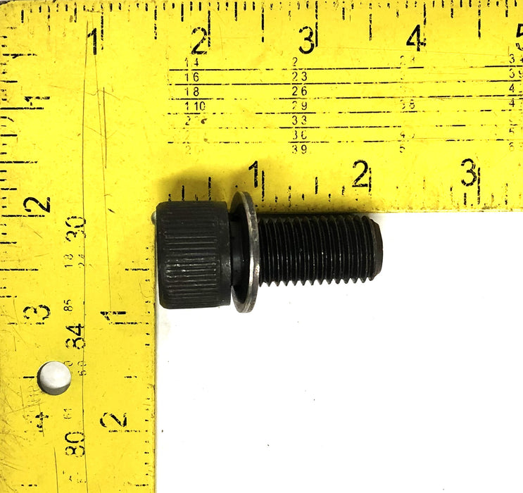 Unbranded 12.9 Socket Head Cap Screw Bolt With Washer M16X35 [Lot of 4] NOS