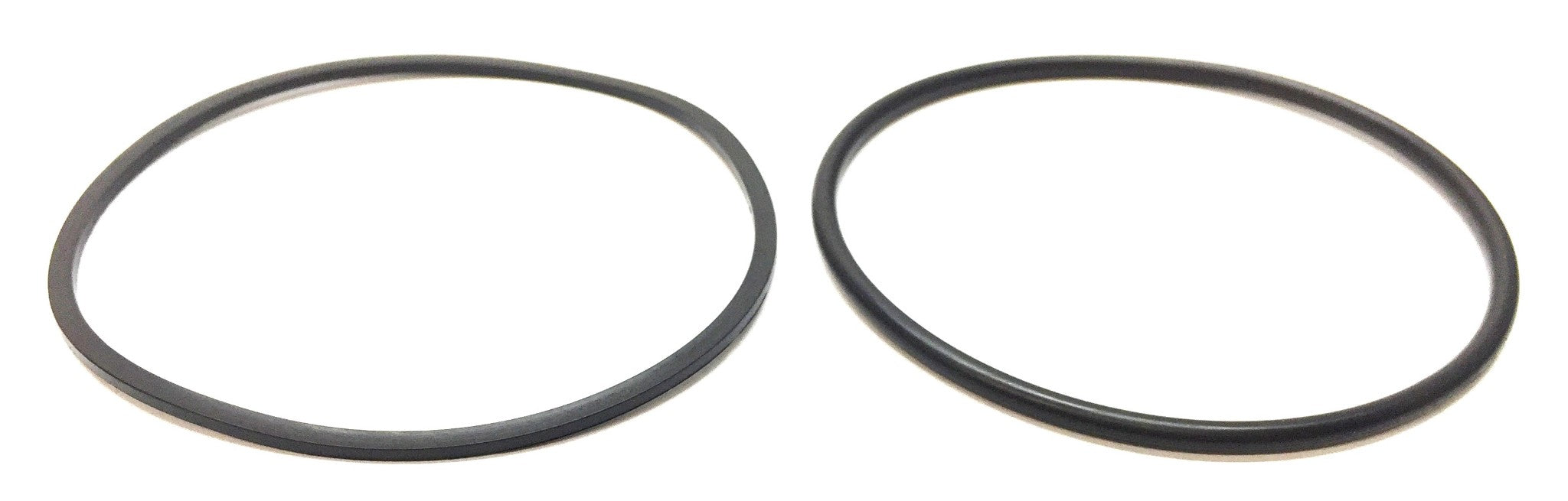 O-Ring Kit for Case New Holland/CNH 5194880 [Lot of 2] NOS