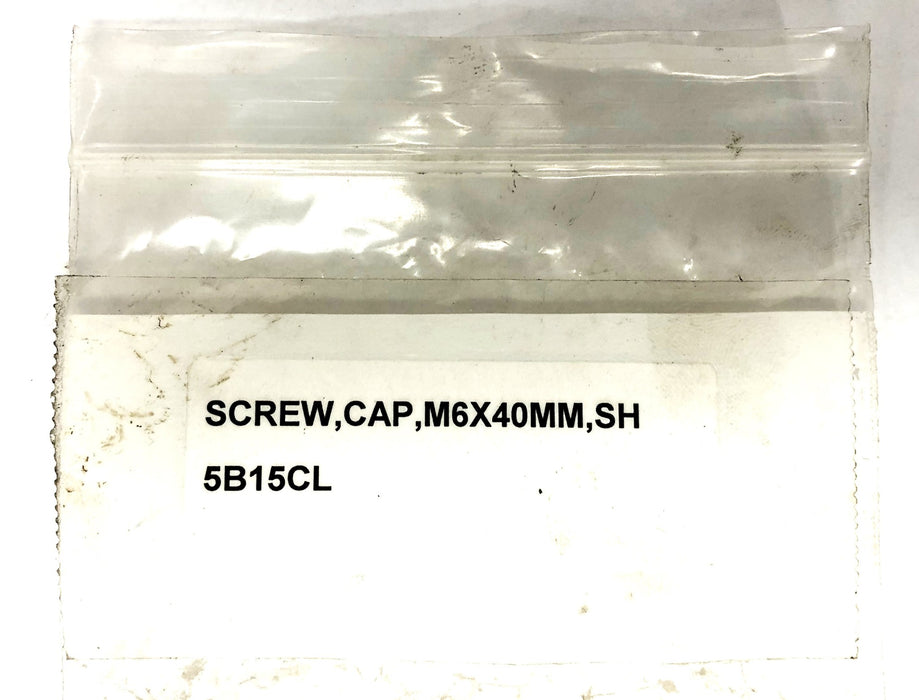 Unbranded Socket Head Cap Screw M6X40 [Lot of 10] NOS