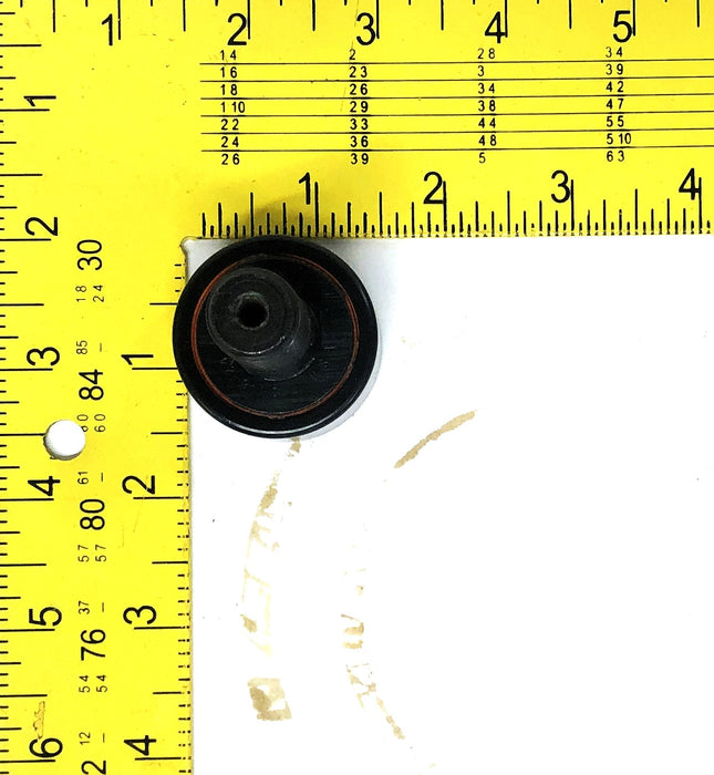 Torrington Cam Follower CRSB-24 NOS