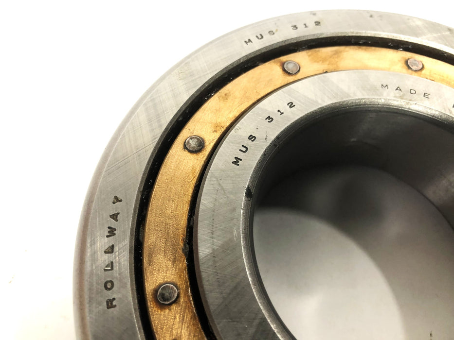 Rollway Cylindrical Roller Bearing MUS312/B8778014 NOS