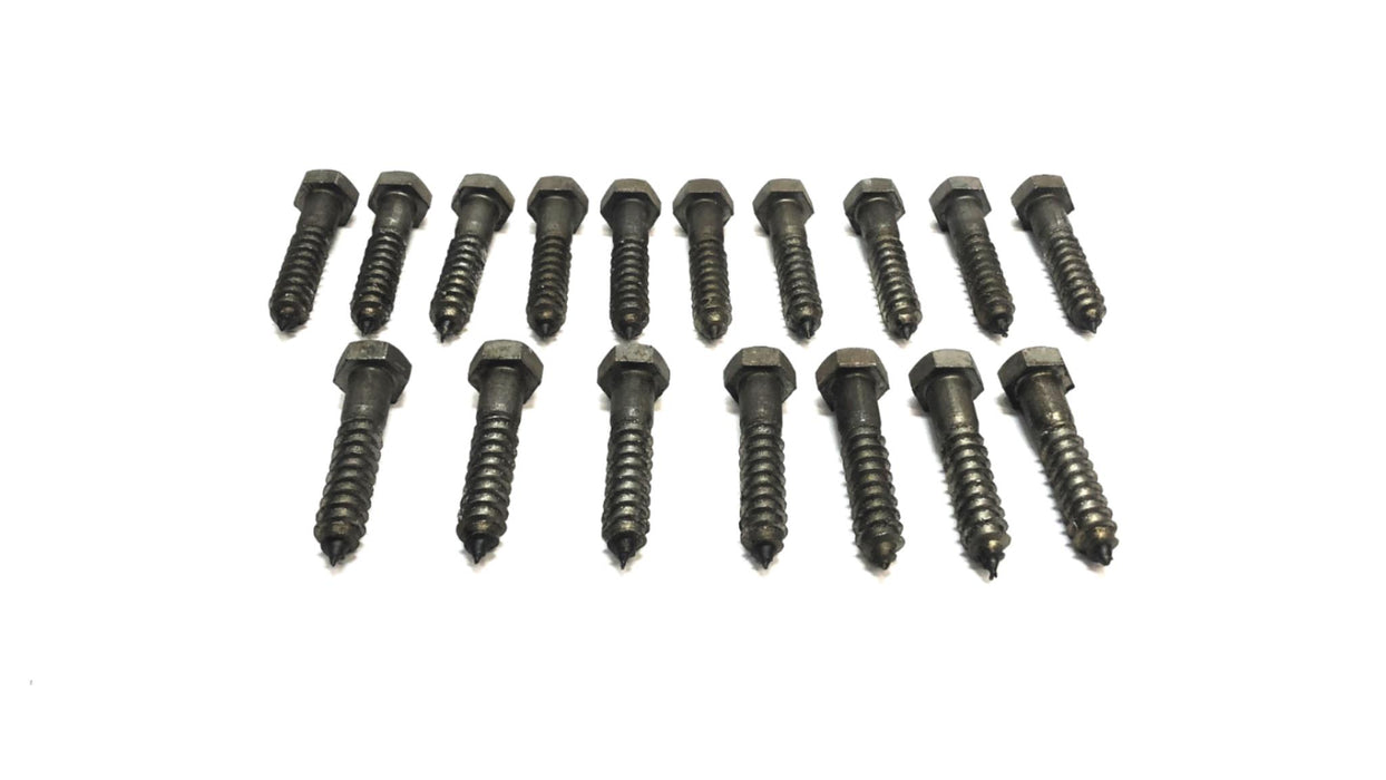 Unbranded 1/2" x 2-1/2" Lag Bolt Screw [Lot of 17] NOS