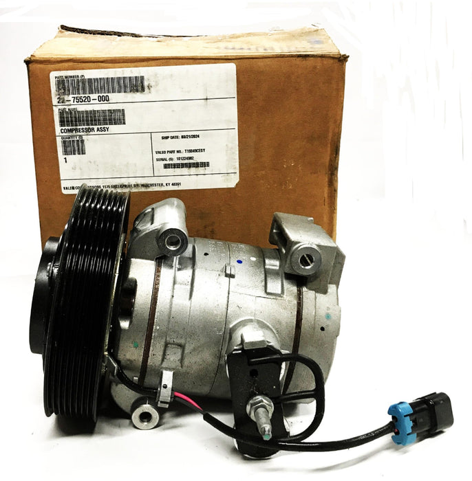 Valeo AC Compressor Assembly T19349CESY NOS
