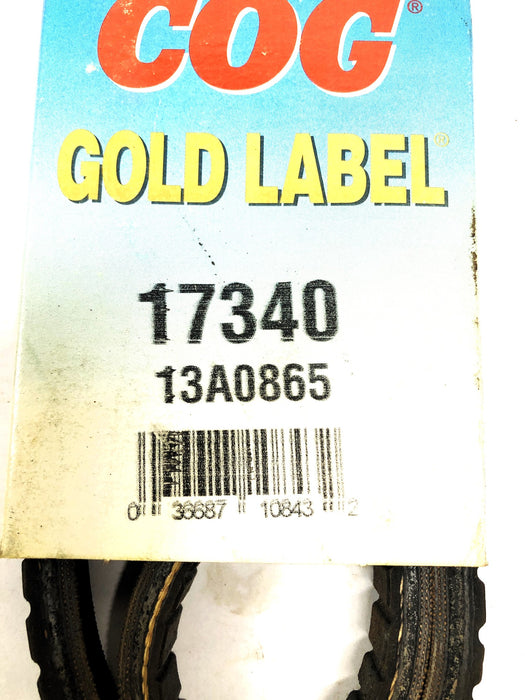Dayco Gold Label Belt 13A0865 (17340) [Lot of 2] NOS