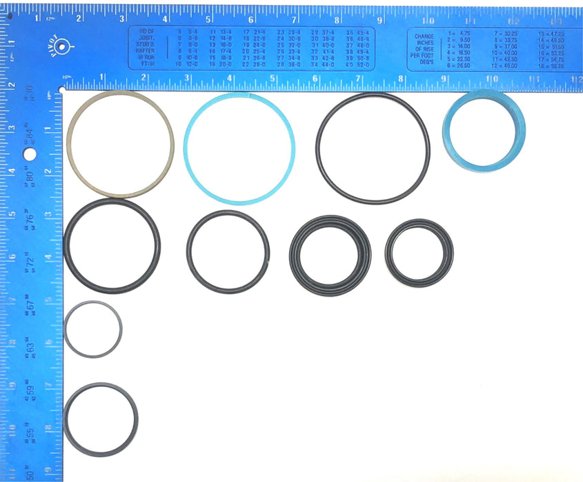 Roemheld Repair Seal Kit CLR-0131-697 NOS