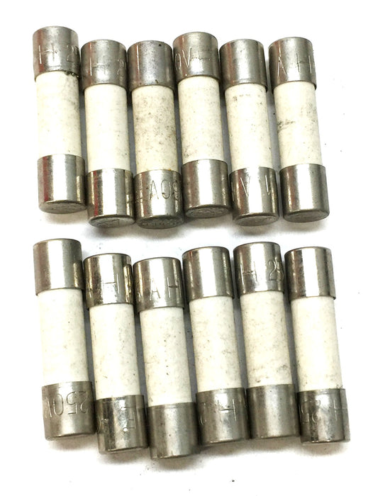 LF Miniature Ceramic Fuse 1AH/250VF [Lot of 12] NOS