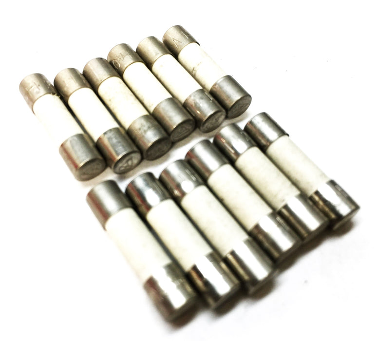 LF Miniature Ceramic Fuse 1AH/250VF [Lot of 12] NOS