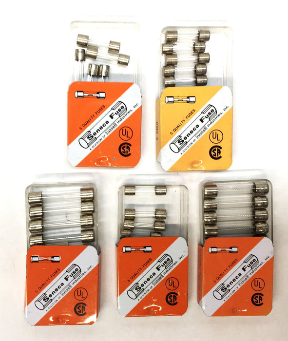 Buss/Seneca 250V Miniature Glass Fuse Pack Assortment (5pcs) F.05 [Lot of 5] NOS