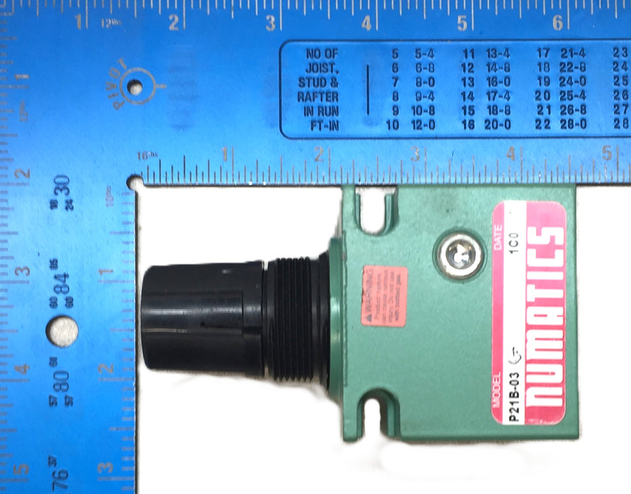 Fedco Numatics Filter Top Only P21B-03 NOS