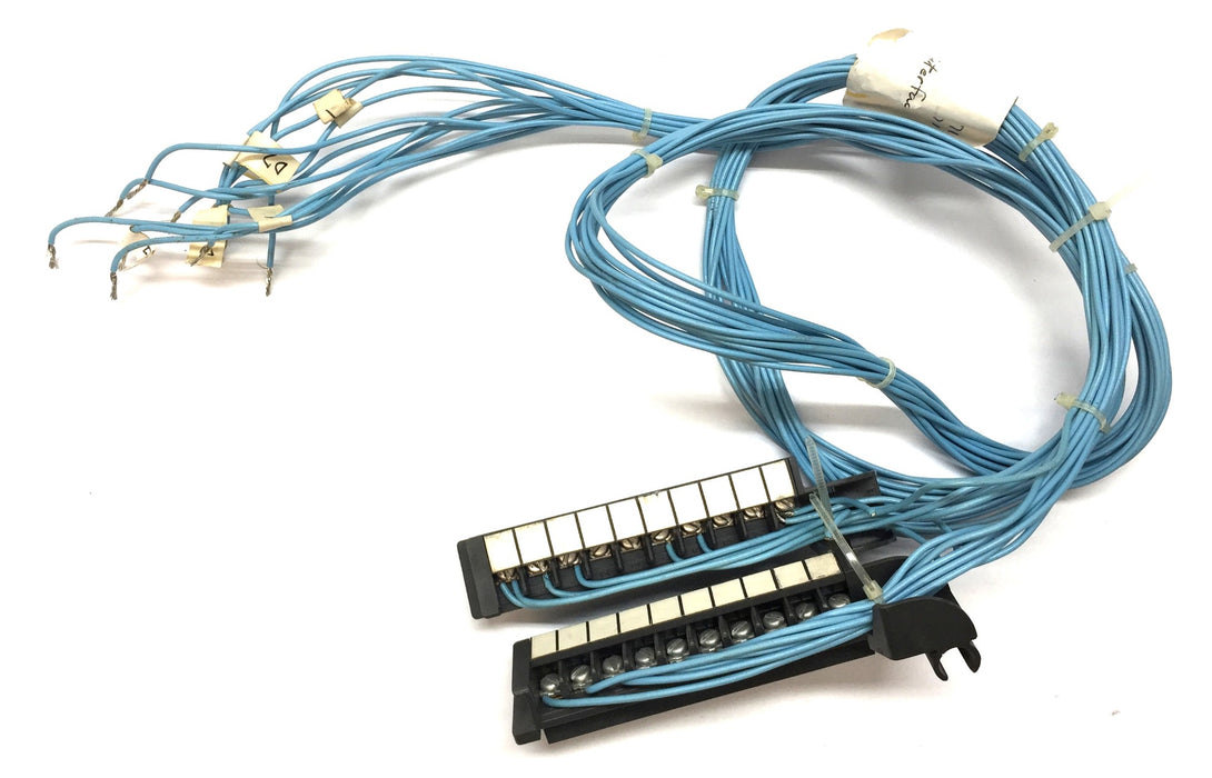 Allen-Bradley Swing Arm Terminal Block w/Wiring Assembly 1771-WA [Lot of 2] USED