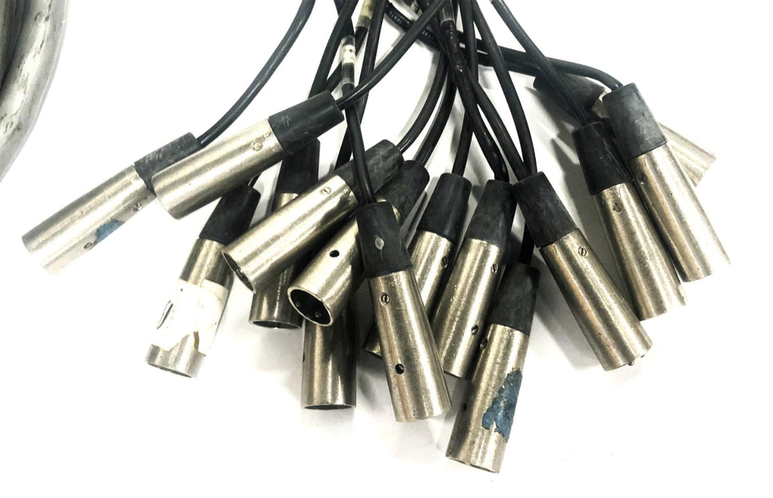 Conquest Sound Conqueror Audio Snake With 1 Bad Input 12-Channel USED