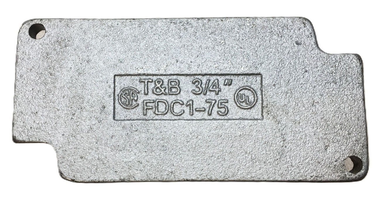 T&B 3/4" Malleable Cast Iron Wet Location Gang Box FDC1-75 (22.3 cu.in.) NOS