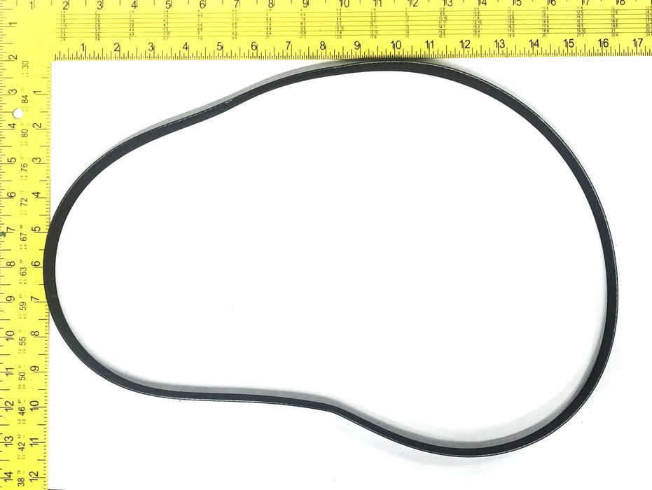 GM OEM Serpentine Belt 92244381 NOS