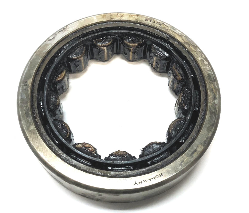 Rollway Cylindrical Roller Bearing (No Box) B1316 NOS