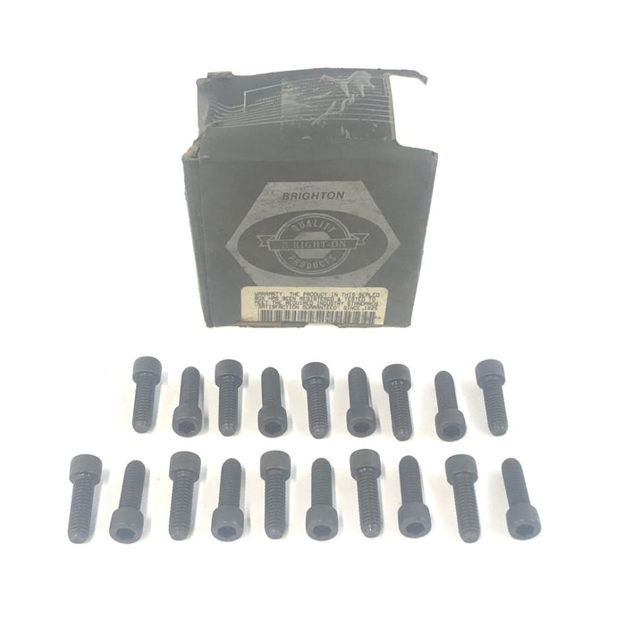 Brighton-Best Socket Head Cap Screw 011203 [Lot of 19] NOS