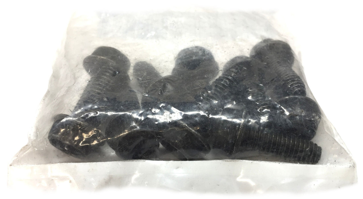 Nissan ECM Screw 01456-00031 [Lot of 10] NOS
