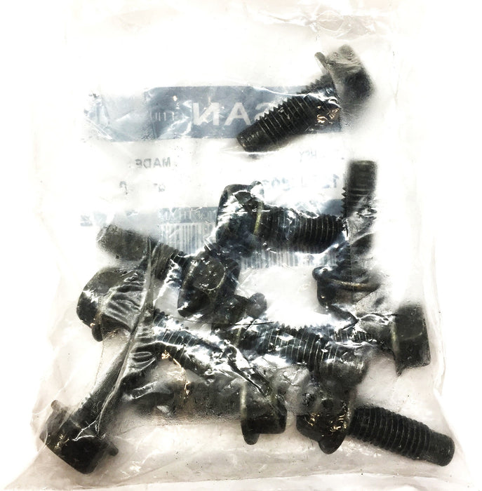Nissan Group Hex Bolt Pack (10pcs) 01125-N8031 NOS