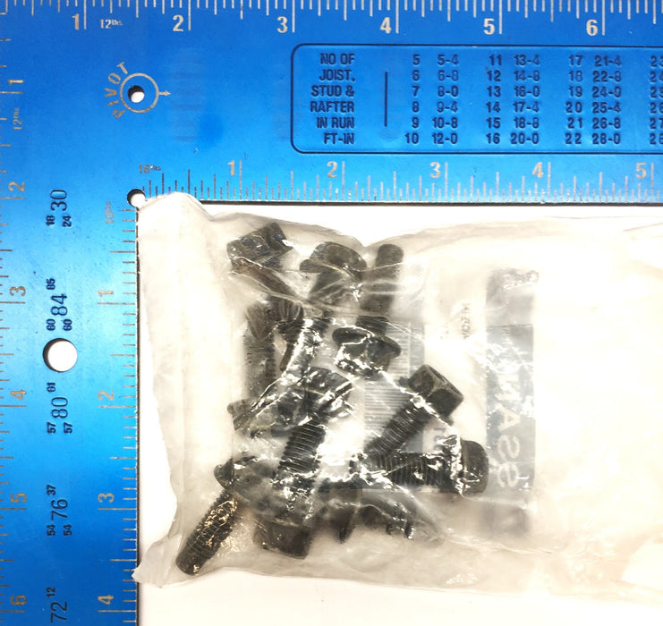 Nissan Group Hex Bolt Pack (10pcs) 01125-N8031 NOS