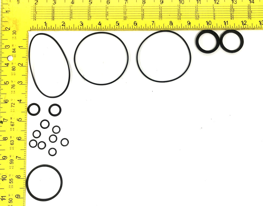 Char-Lynn Seal Kit 60023-000 NOS