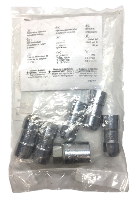 General Motors/GM Chrome Wheel Lock Kit 85105296 NOS