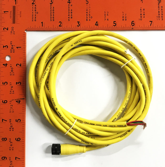 Balluff Cordset Cable C2AE300TY150F NOS