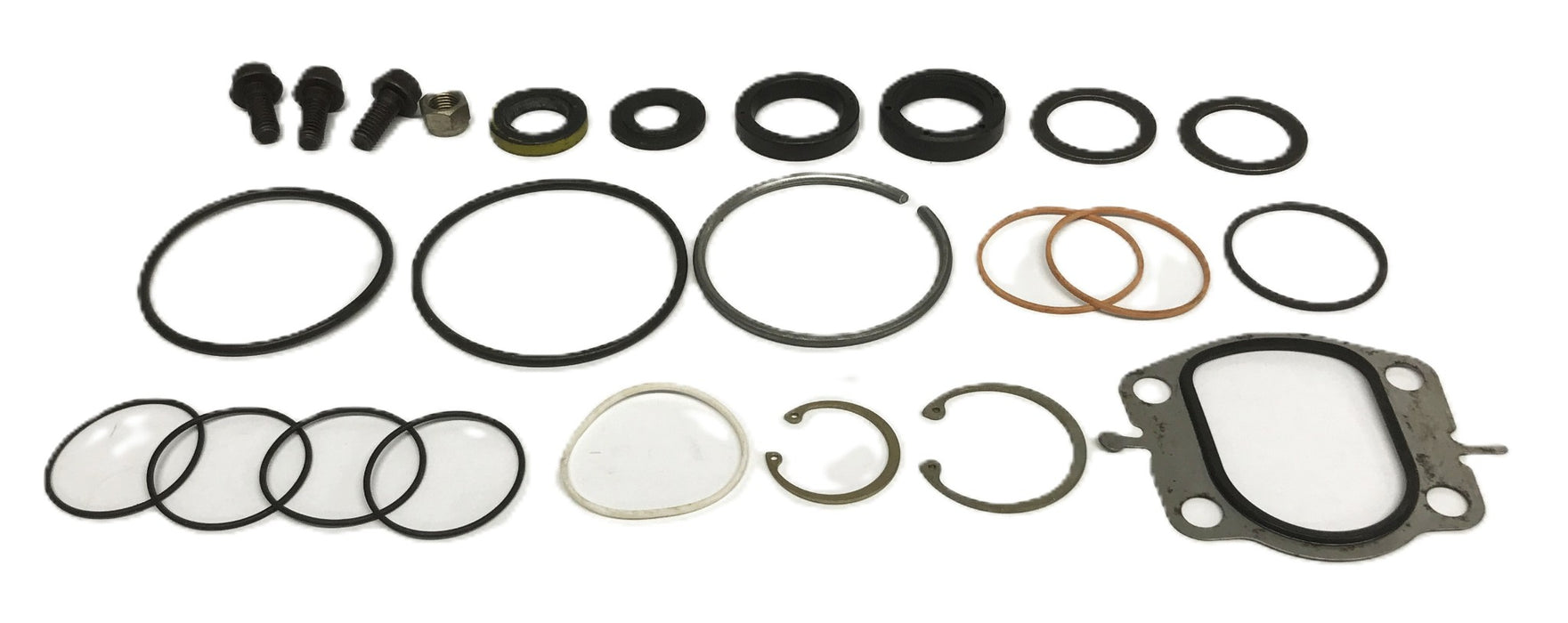 Hyster 24-Piece Steering Geer Master Seal Kit 76900A (Partial) NOS