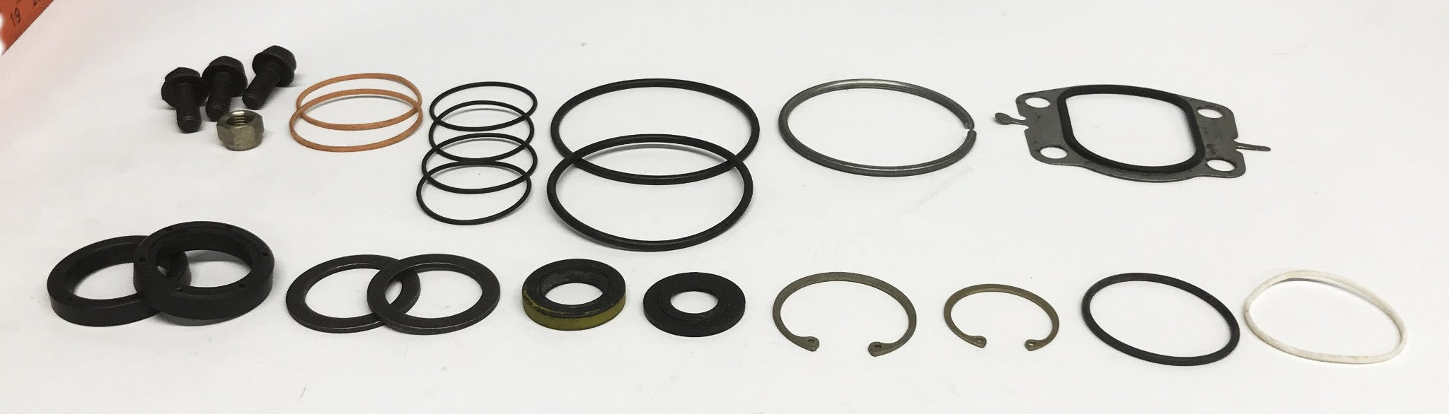 Hyster 24-Piece Steering Geer Master Seal Kit 76900A (Partial) NOS