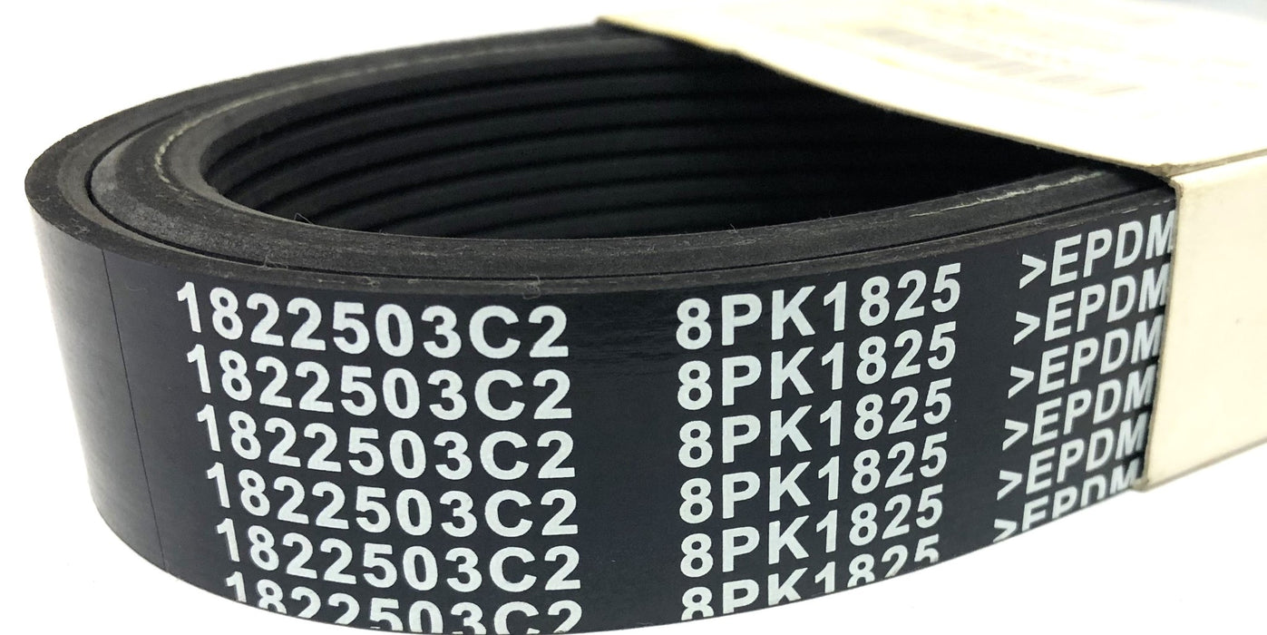Fleetrite Serpentine Belt 1822503C2 NOS