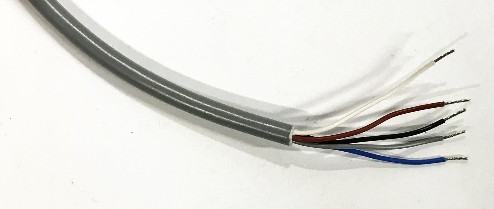 TURCK Euro Fast Plug-Receptacle Cable FKV4.5-5/18.25/S717 NOS