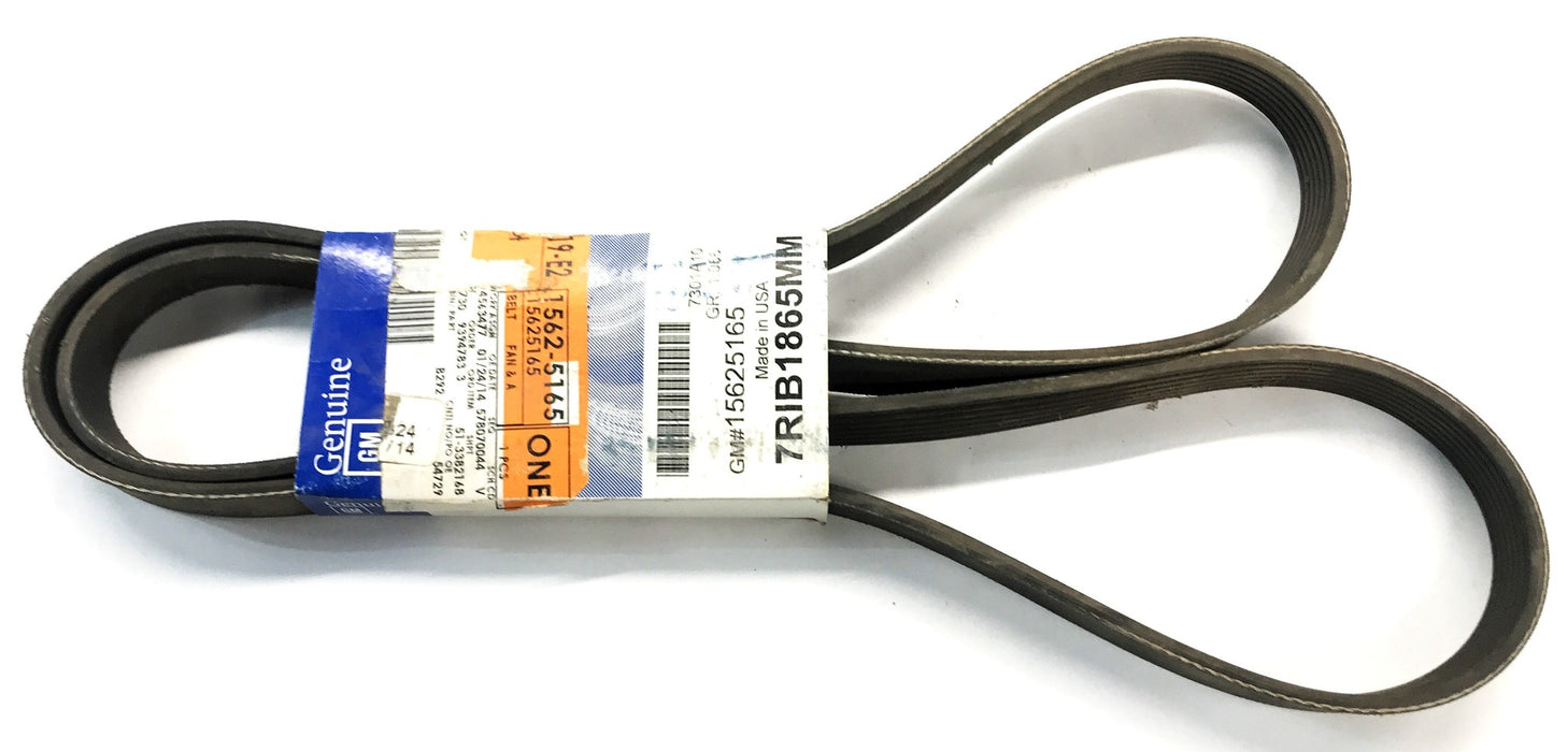 GM Serpentine Belt Made In The USA 15625165 NOS