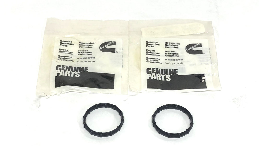 Cummins D-Ring Seal 2865048 [Lot of 2] NOS