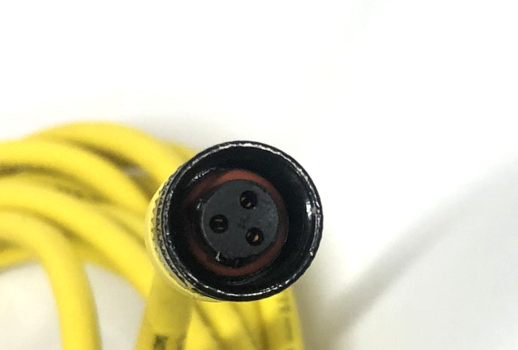 Balluff 3-Position Female Cordset C21AE300TY150F NOS