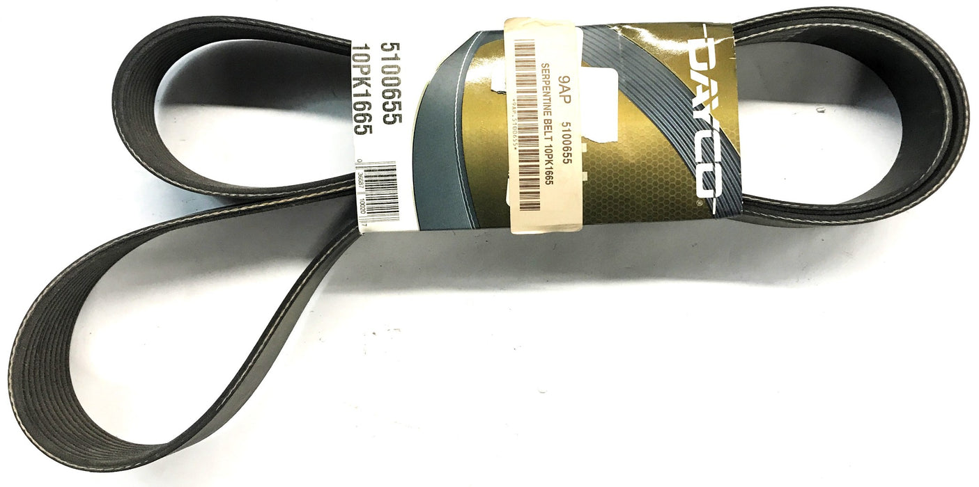 Dayco Serpentine Belt 5100655 NOS