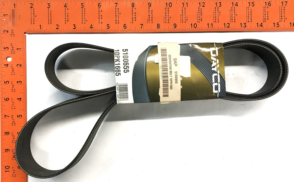 Dayco Serpentine Belt 5100655 NOS