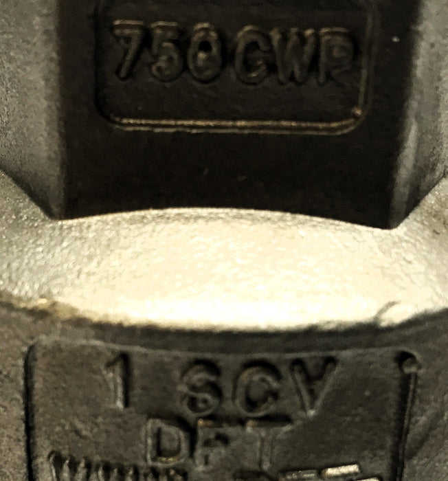 DFT 1" Check Valve 1SCV 750CWP NOS