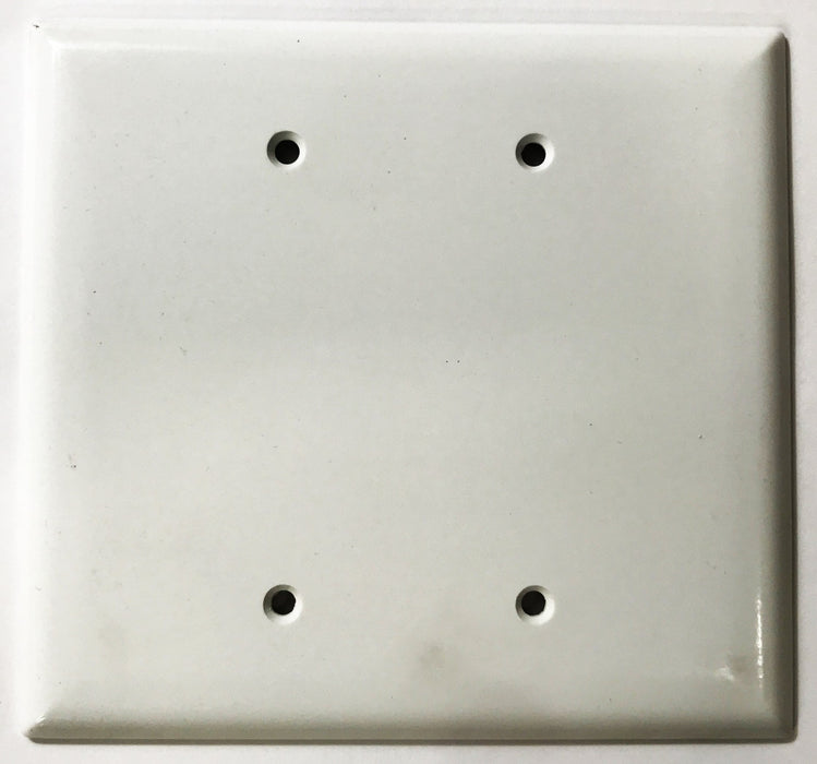 Pass & Seymour Plastic White 2-Gang Blank Wall Plate SPO23-W [Lot of 14] NOS