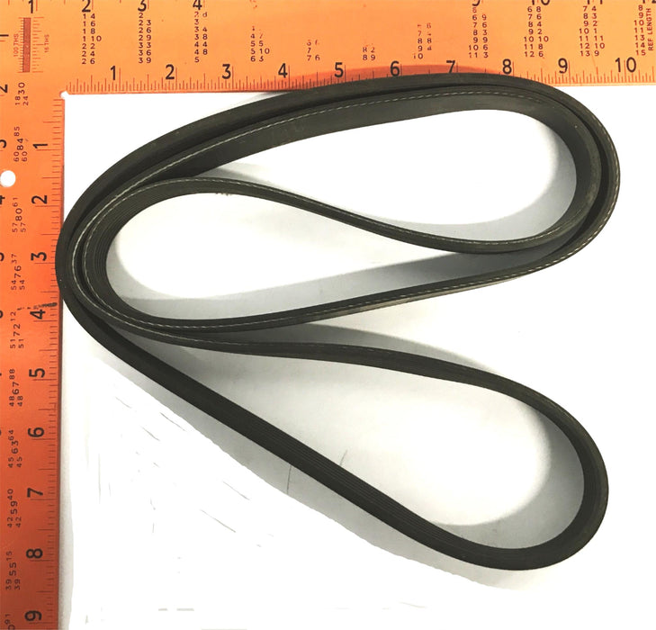 Total Source Hyster Serpentine Drive Belt HY2036497 NOS