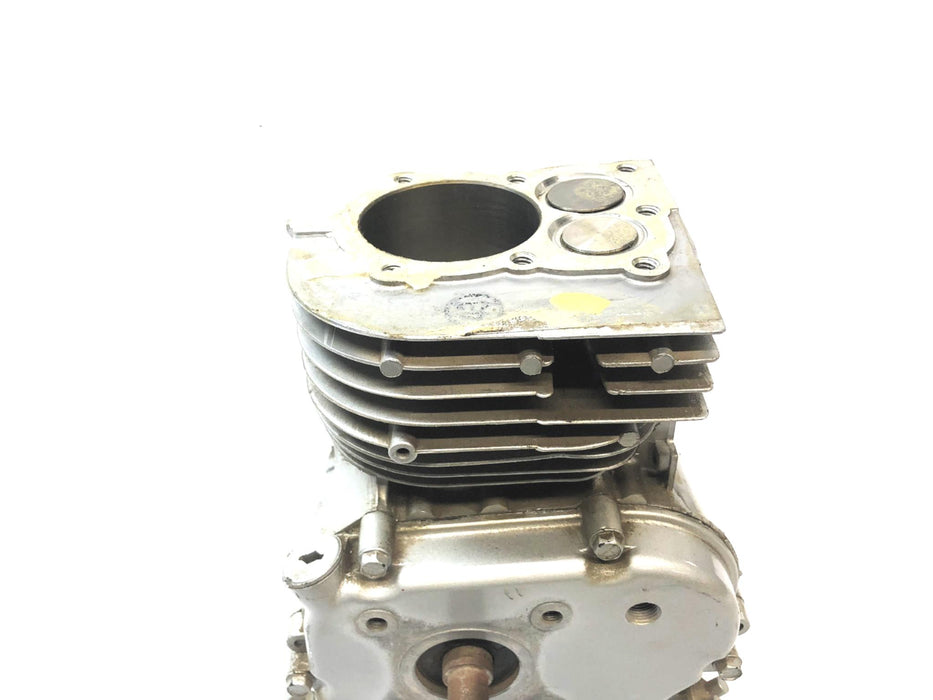 Briggs & Stratton 5HP 5/8" Thread Short Block NOS
