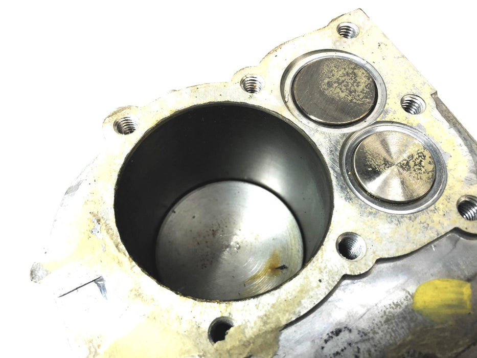 Briggs & Stratton 5HP 5/8" Thread Short Block NOS