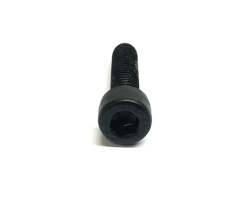 Brighton Best Box of (1700) M6-1.0 x 25 Alloy Socket Cap Screw A4440060025 NOS