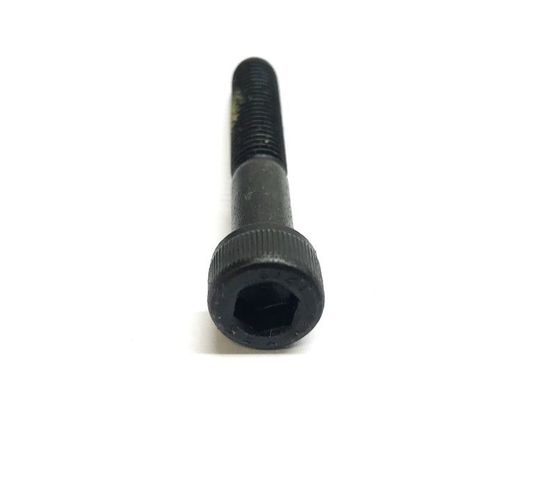 Suburban Bolt Box of (700) M6-1.0 x 40 Alloy Socket Cap Screw A4440060040 NOS