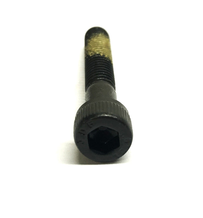 Unbranded Box of (1000) M6 x 35 Socket Cap Screw A4440060035 NOS