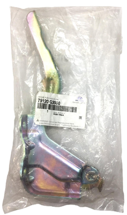 Hyundai Right-Hand Hood Hinge Assembly 79120 G3000 NOS