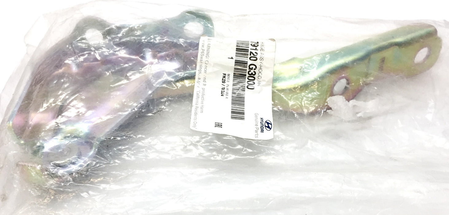 Hyundai Right-Hand Hood Hinge Assembly 79120 G3000 NOS