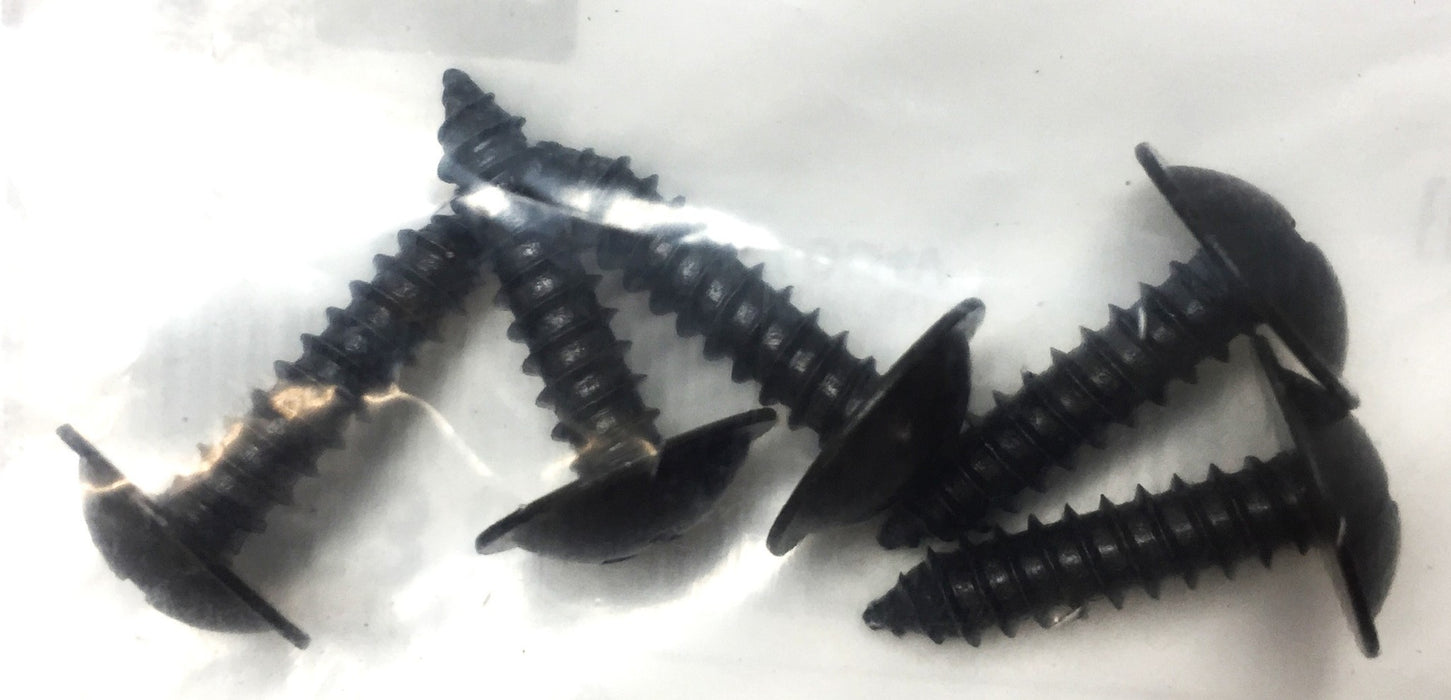 Hyundai Tapping Screw Pack (5pcs) 12493 05207E [Lot of 2] NOS