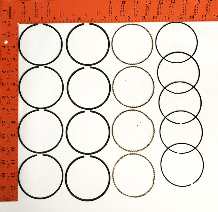 Total Source Hastings Piston Ring Set MBMD195853 NOS